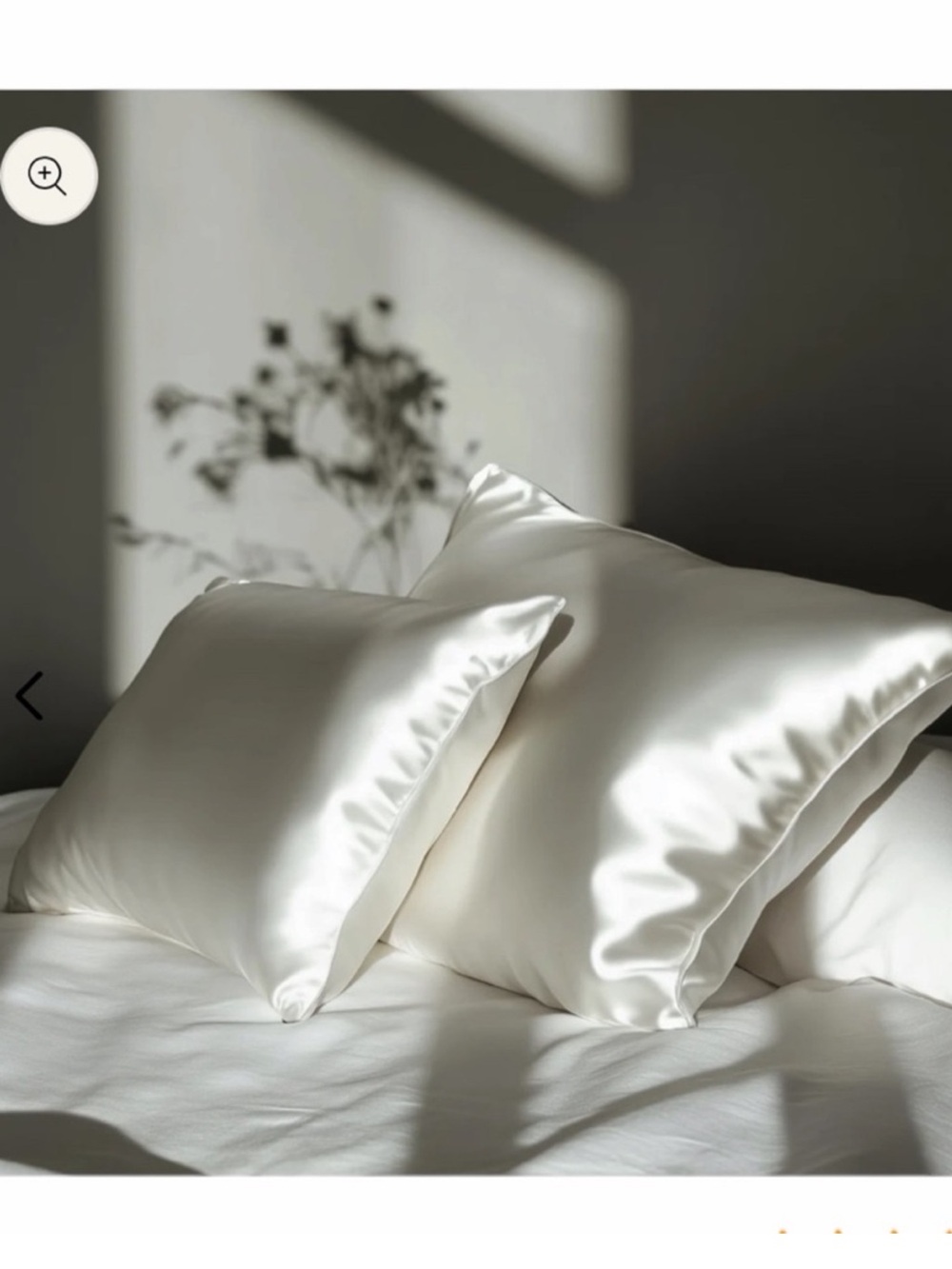 Colorado Home Co Sunday Silks 100% Mulberry Silk Pillowcase Set Off White